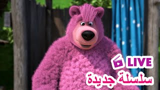 ماشا والدب 🐻👱‍♀️ LIVE STREAM! 🎬 سلسلة جديدة 🌟 Masha and the Bear