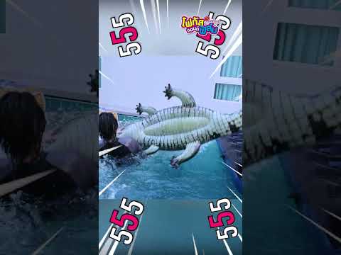 รื้อของออกมาเล่นสระน้ำ