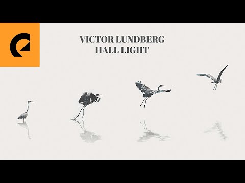 Victor Lundberg - Hall Light