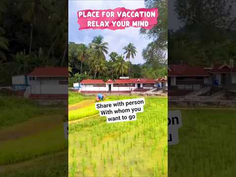 Shehnaazgill new song #shorts #trending #foryou #khaandlagdi