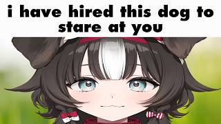 i have hired this dog to stare at you