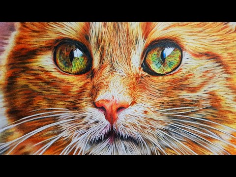 CRAZY PHOTO-REALISTIC DRAWING OF CAT! Colored Pencil Art of "Filet-O-Fish" The Cat - Hyper-realism