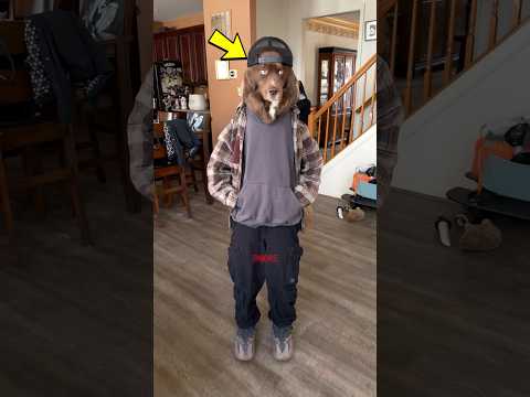 Dogs Costume Party Broke His Heart💔| #shorts #viralvideo