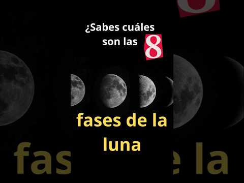 Las 8 fases de la Luna (la guía más rápida) 🌙⏱️