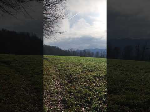 POV: You Needed Fresh Air 🌤️ #naturevibes #relax #peaceful