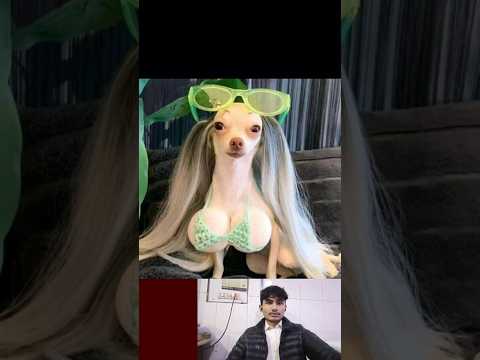 [UR • REACTIFY] This Meme Had Me laughing 💀🔥 | Funny Reaction Short #shorts