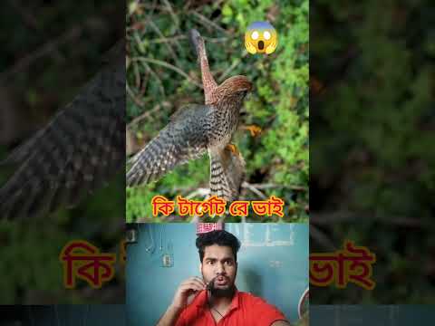 পাখিটির কি নিখুঁত টার্গেট 🥰 What a perfect target for the bird