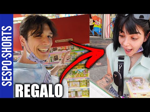 Regalo a Rosalba i Sylvanian families