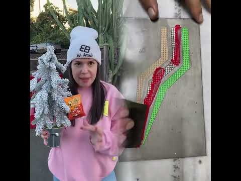 WHICH CHRISTMAS ORNAMENT DO YOU WANT? #msbeanie