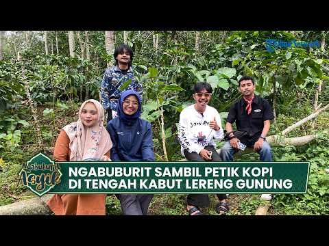 🔴 Ngabuburit Sambil Petik Kopi di Tengah Kabut Lereng Gunung Ungaran