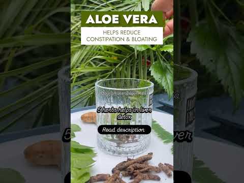 5 Best Ayurvedic Herbs for Liver Detox |World Liver Day| Kutki, Kalmegh, Aloe Vera #liverhealthtips