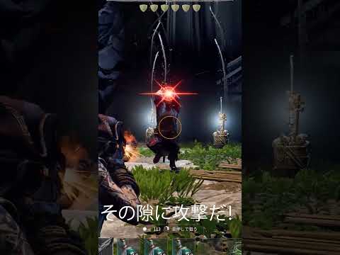 【Windrose】アクション苦手でも大丈夫！ウィドローズざっくりまとめ【ウィンドローズ】