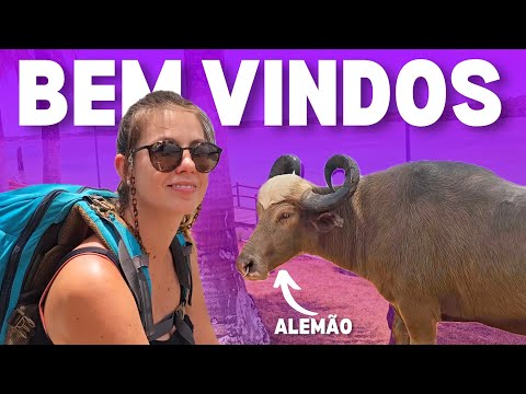 Chegamos na Ilha do Marajó e foi isso que encontramos | T2 Ep 293