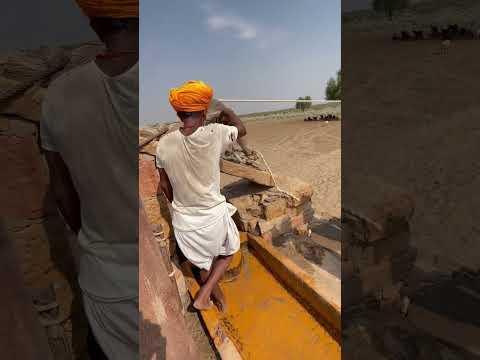 दुनिया का अनोखा कुआ भारत पाक युध में सैनिक इसी कुवे से पीते थे पानी