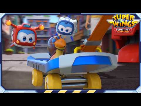 Superwings | S7 Highlight | Fastest Snail in the World and more | Super Pet Adventures | Ep.37~40