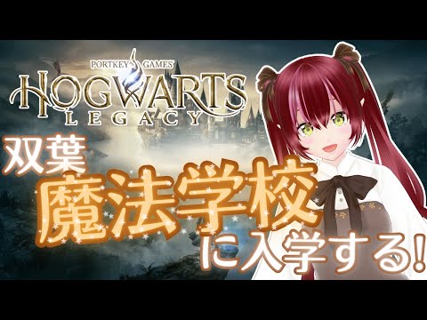 thumbnail_2SLrtPz1HAc