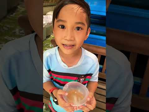 Đi Săn Thằn Lằn Bình Dương