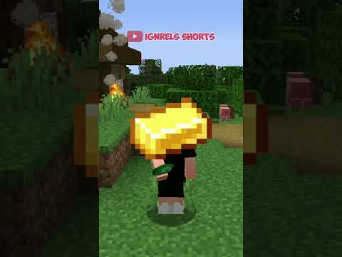 Minecraft Tapi Aku Mendapatkan Block Yang Kulihat