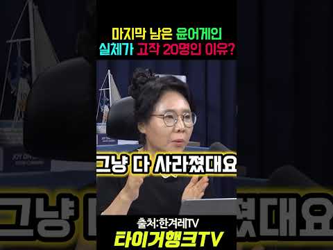 마지막 남은 윤어게인, 실체가 고작 20명인 이유?! 😱💥 #윤어게인 #국민의힘 #장동혁 #뉴스다이브 #노영희