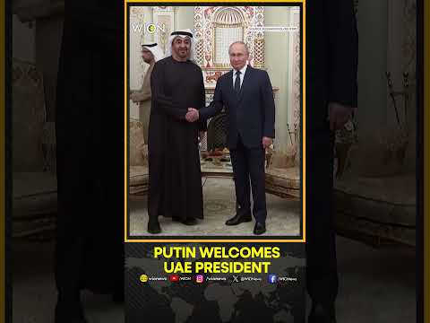 Putin welcomes UAE President Mohamed bin Zayed Al Nahyan in Russia ahead of BRICS summit