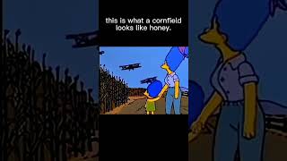 Too Many Planes #thesimpsons #memes