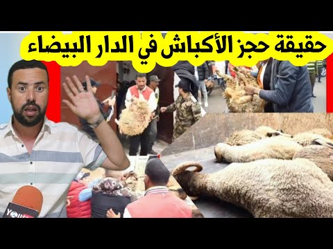 حقيقة حجز السلطات للاكباش و المواشي بسبب إلغاء عيد الأضحى