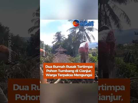 Dua Rumah Rusak Tertimpa Pohon Tumbang di Cianjur, Warga Terpaksa Mengungsi