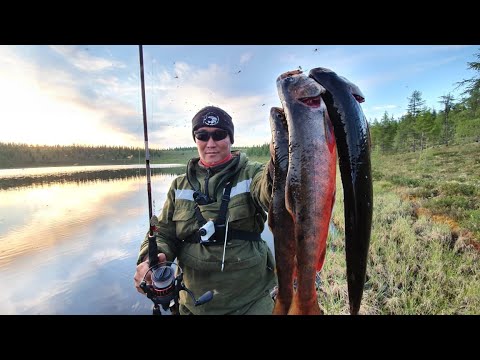 Рыбалка на полюсе холода Оймяконье