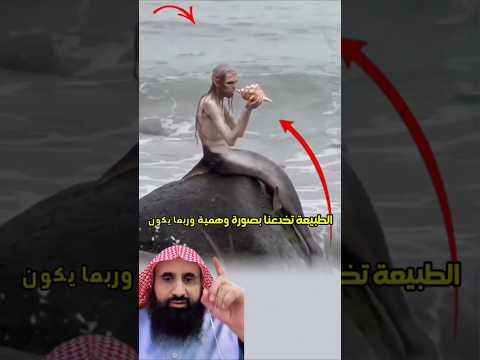 صمت هذا الكائن أكثر إثارة للرعب من مظهره لأنه يتركك في ارباك لا ينتهي😱☝️👌#اكسبلور #لايك #fyp #vlog