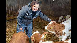 So zieht man Kälber ERFOLGREICH groß - Betriebsreportage bei Familie Berghammer!