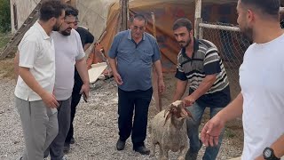 Taksitle Kurbanlık