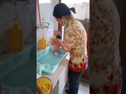 cara ibu memandikan bayi baru lahir