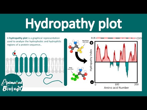 Hydropathy plot | How to interpret Hydropathy plot? Transmembrane protein | Cell biology