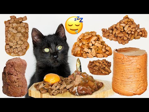 1 Hour | Cat Eating ASMR for Relaxation and Deep Sleep 😴🌙😻