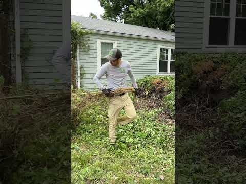 I knocked for DAYS before this homeowner finally responded with a CRAZY story
