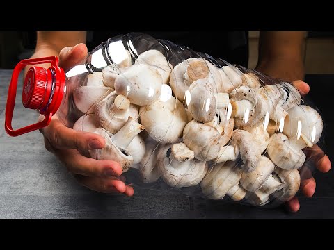 Don’t Fry Mushrooms Anymore! 6 Brilliant Ideas Work Like CRAZY Magic!