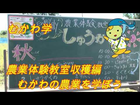 むかわ学【むかわの農業を学ぼう】農業体験教室収穫編