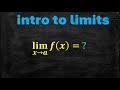 Exploring the Concept of Limits