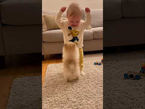 When a Baby Finally Hugs Her Puppy      #baby #dog #cute #love #viral #puppyhug