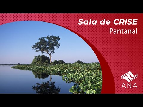 3ª Reunião em 2022 da Sala de Crise da Estiagem no Pantanal