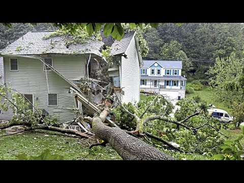 Dangerous Idiots Cutting Tree Fails Skill With Chainsaw, Tree Falling on Houses Compilation 2024 #3