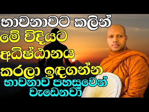 මේ විදියට භාවනා කරොත් නම් භාවනාව පහසුවෙන් වැඩෙනවා | ven.Hasalaka Seelawimala Thero | Bana Katha