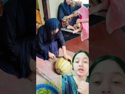 শ্বশুরবাড়িতে এসে রান্না করতে দিয়েছে