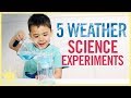 Scientific Concepts in Experiments