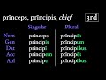 Understanding Latin Third Declension Nouns