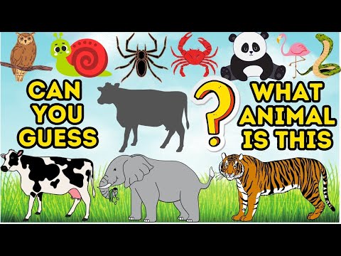 KIDS SONG: Yes Yes the Animal Song | Fun and Educational Kids Animal Song | Guess The Animals PART3