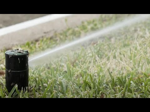 YouTube video thumbnail: Central Iowa Lawn Watering Ban Will Likely Last Weeks, Officials Say