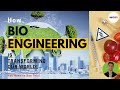Bioengineering Concepts and Impacts