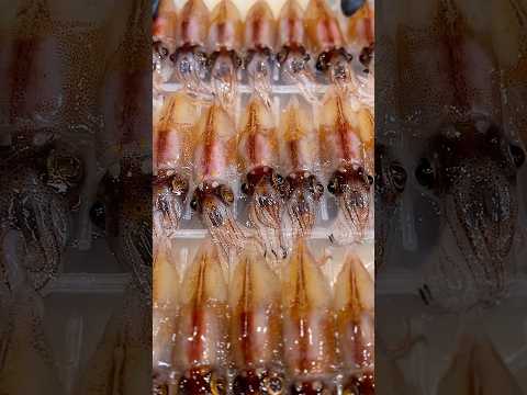 🇯🇵Have you ever eaten firefly squid?🦑
