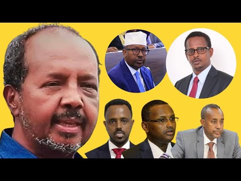 Daawo; Qabyaalada Xasan Sheekh, Muxu salka kuhaaya qilaafka sokala dhaxgalay Abgaal & Habargidir..